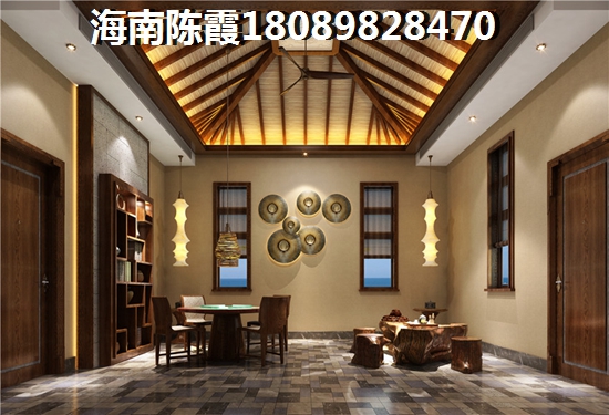 公园湖畔开发商实力