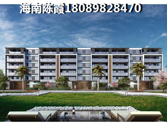 为啥XG后海南海口市房价还在上涨