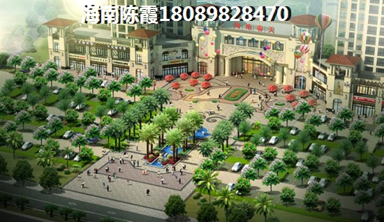 >2020五指山买房分析