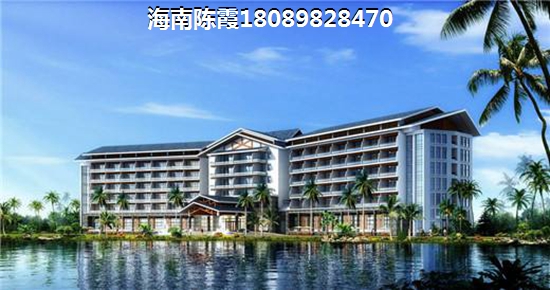 海南全域XG政策