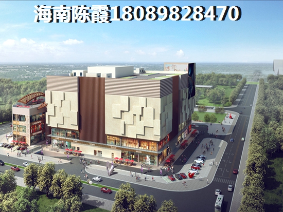 深度分析椰海家园优点和缺点
