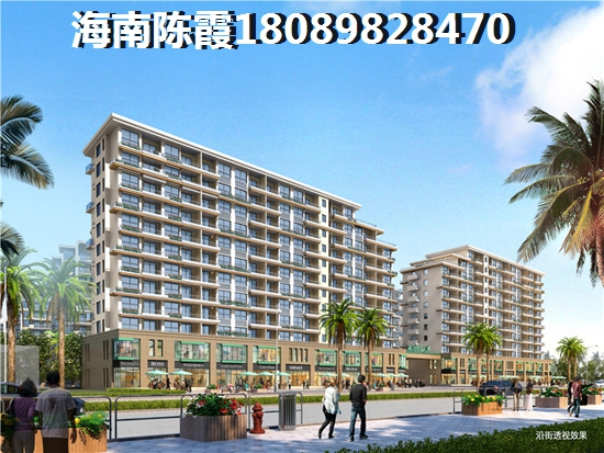 万科湖畔度假公园分析