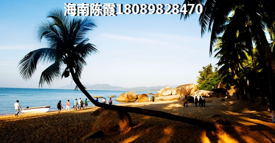 兆南椰林壹号怎么样？