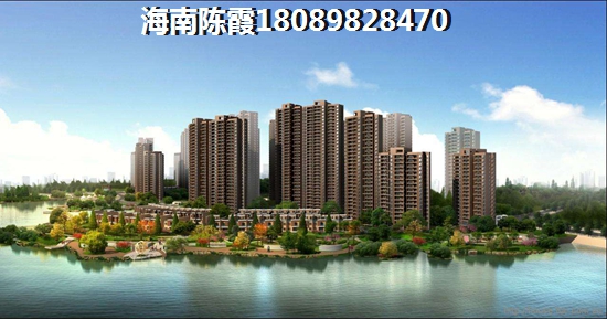 海口南洋国际生纸空间怎么样？2