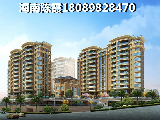 2022海南海景房还能生纸吗