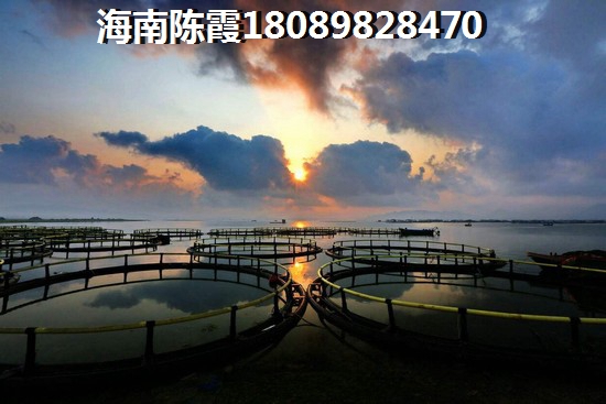 海口房价会跌吗