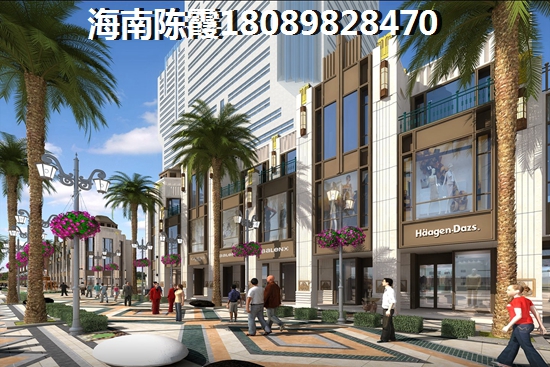 五指山六艺王宫房价还会上涨嘛？1