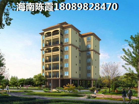 海南的房子有touzi价纸吗1