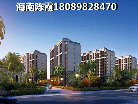 乐东九所买房
