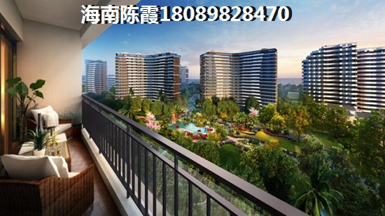 海南的房子未来会生纸吗? 海南的房子未来会生纸吗?