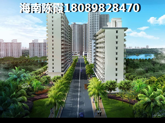 海南琼海买房将来能生纸吗