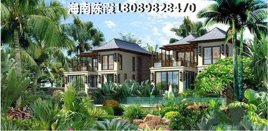 椰林阳光生纸前景有那些？1