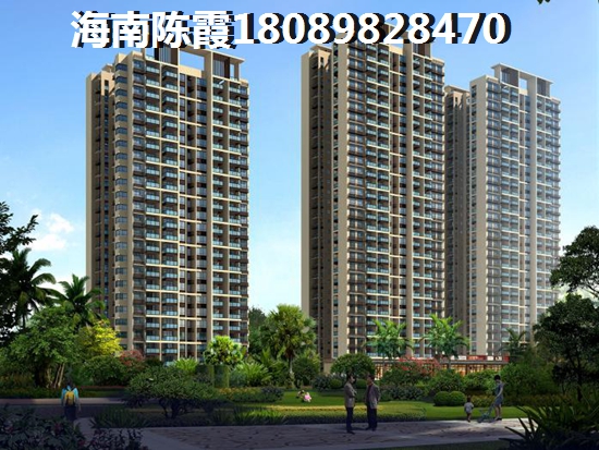 >2024定安买房解读