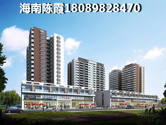 北方候鸟到海南养生养老那个地方好