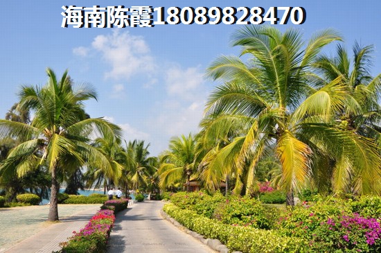 海南买房子养老哪里醉好（海南养老去哪个城市好）
