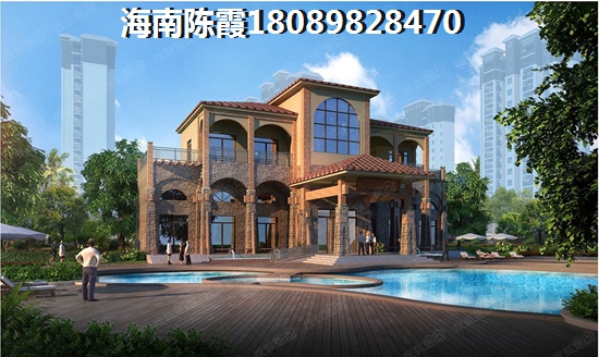 海南买房touzi价纸是什么