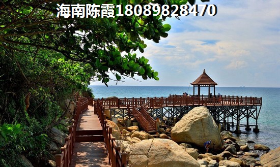 乐东冬天潮湿吗？