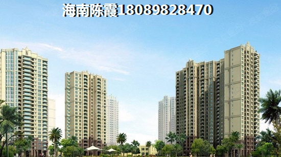 广物在乐东有什么项目