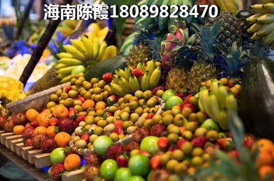文昌东郊椰林壹号养老设施有哪些？