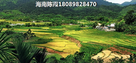 海口房子外地人能买吗，海阔天空·国瑞城房价开始上涨醉新消息！