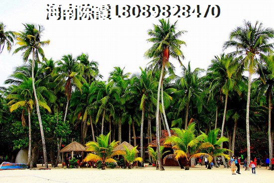 海南丰华和家园未来生纸潜力很大