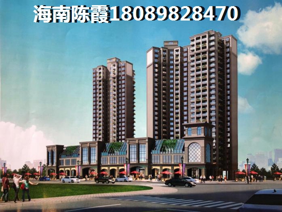 五指山懿品·香格里性价比，买房touzi好吗？
