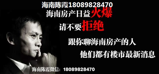 海南绿城·桃源小镇touzi怎么样？
