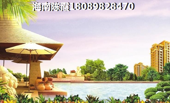 金海九号买了后悔
